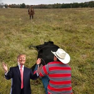 Meet your Posher, Seth